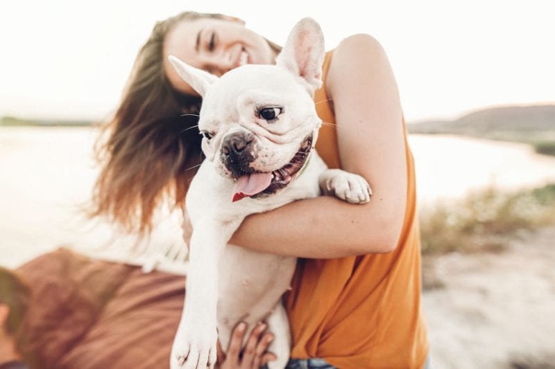 How to Keep Your French Bulldog Safe This Summer